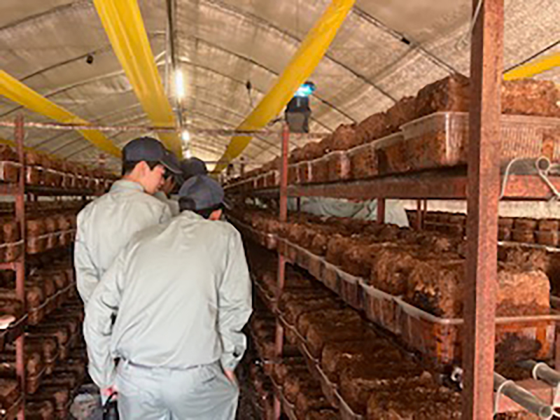 2025.10.20 飛騨高山高校「緑の農学科群」現場見学会の開催